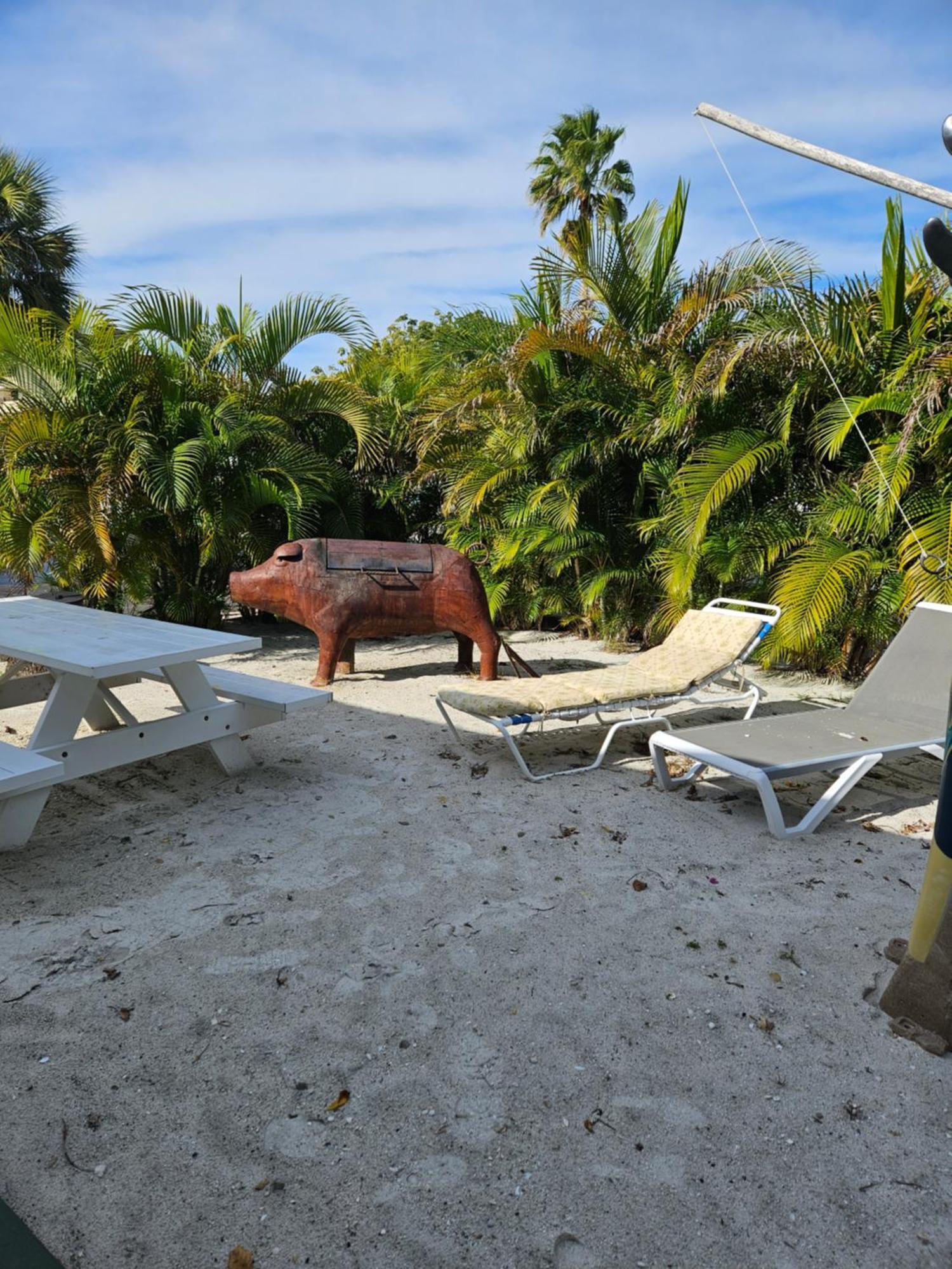 Oasis Palms Resort St. Pete Beach Exteriér fotografie